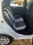Fiat Punto 1.3 MJT 5P LOUNGE Bianco - thumbnail 9