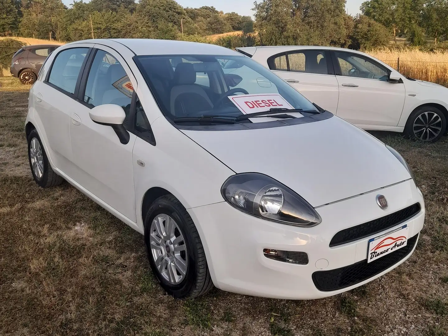 Fiat Punto 1.3 MJT 5P LOUNGE Bianco - 2