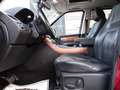 Land Rover Range Rover Sport 3.0TDV6 SE Aut. Burdeos - thumbnail 17