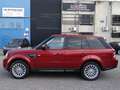 Land Rover Range Rover Sport 3.0TDV6 SE Aut. Burdeos - thumbnail 9