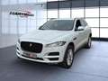 Jaguar F-Pace Prestige AWD Bluetooth Navi Vollleder Klima Blanc - thumbnail 2