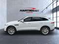 Jaguar F-Pace Prestige AWD Bluetooth Navi Vollleder Klima Blanc - thumbnail 7