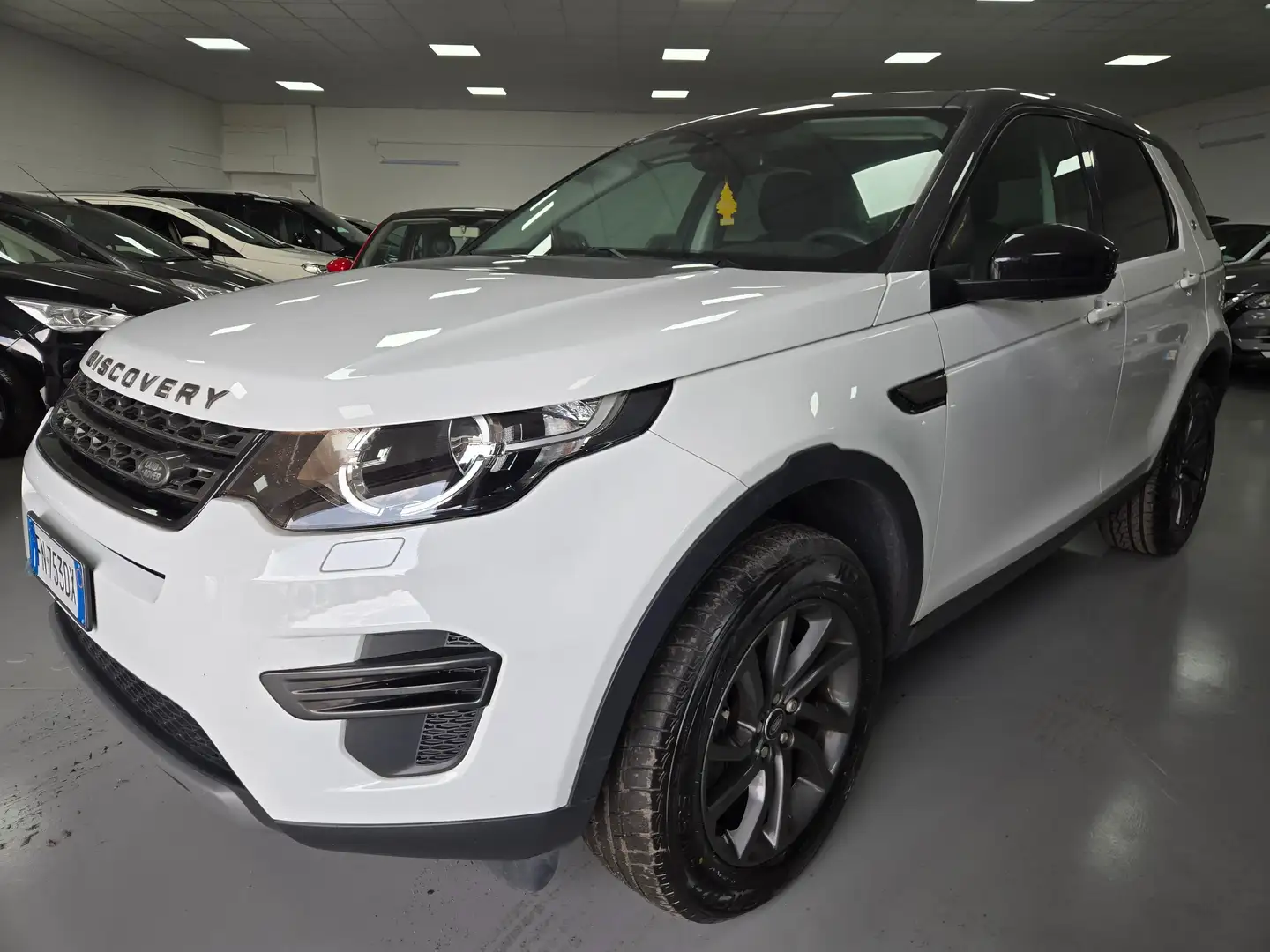 Land Rover Discovery Sport Discovery Sport 2.0 td4 HSE Luxury awd 150cv my18 - 1