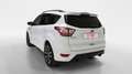 Ford Kuga TODOTERRENO 1.5 TDCI 88KW ST-LINE 2WD 120 5P - thumbnail 7