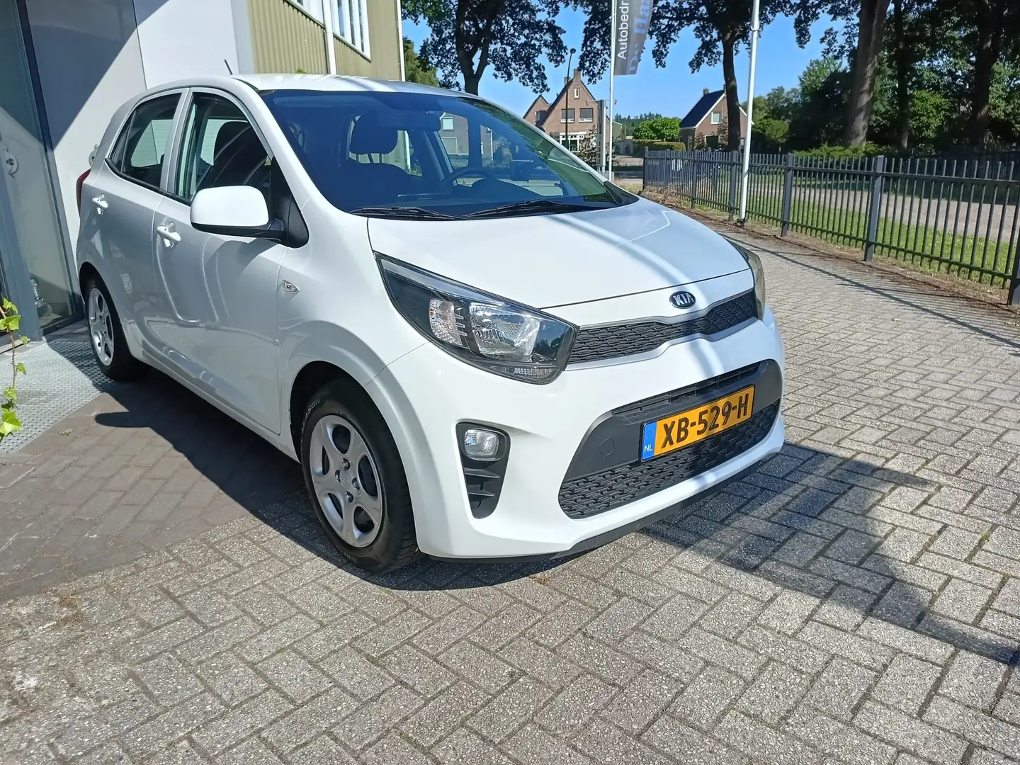 Kia Picanto 1.0 CVVT EconomyPlusLine | Airco | bluetooth | 5 D Blanco - 2