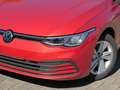 Volkswagen Golf 8 TSI AHK LED Winterpaket Rot - thumbnail 6