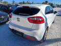 Kia Rio 1.2 Concept Weiß - thumbnail 9
