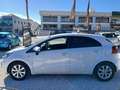 Kia Rio 1.2 Concept Weiß - thumbnail 6