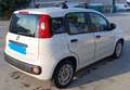 Fiat Panda 1.0 hybrid Easy s&s 70cv - thumbnail 5