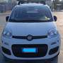 Fiat Panda 1.0 hybrid Easy s&s 70cv - thumbnail 8