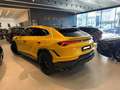 Lamborghini Urus 4.0 Performante Žlutá - thumbnail 3