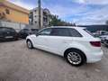 Audi A3 1.6 tdi Ambition 110cv E6 - thumbnail 5