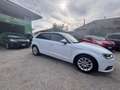 Audi A3 1.6 tdi Ambition 110cv E6 - thumbnail 4