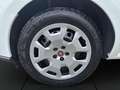Fiat Doblo 1.6 MJT 105 CV PL MAXI N1 5 POSTI-CRUISE-SENSORI- Bianco - thumbnail 19