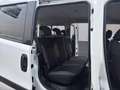 Fiat Doblo 1.6 MJT 105 CV PL MAXI N1 5 POSTI-CRUISE-SENSORI- Bianco - thumbnail 16