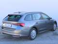Skoda Octavia Essence TDI Grau - thumbnail 18
