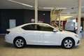 Skoda Octavia 2.0TDI Ambition 110kW Blanc - thumbnail 2