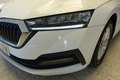 Skoda Octavia 2.0TDI Ambition 110kW Blanc - thumbnail 11