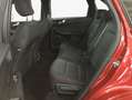 Ford Kuga 2.5 Duratec PHEV ST-LINE*GJR*LED* Rojo - thumbnail 8