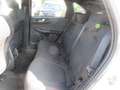 Ford Kuga PHEV ST-Line,Wi-Pkt,Navi,Ganzjahresreifen Blanc - thumbnail 6