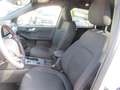 Ford Kuga PHEV ST-Line,Wi-Pkt,Navi,Ganzjahresreifen Blanc - thumbnail 8