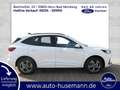 Ford Kuga PHEV ST-Line,Wi-Pkt,Navi,Ganzjahresreifen Blanc - thumbnail 3
