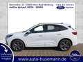 Ford Kuga PHEV ST-Line,Wi-Pkt,Navi,Ganzjahresreifen Blanc - thumbnail 2