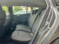 Ford Focus 1.5 EcoBlue 120 CV SW Business Bianco - thumbnail 10