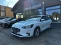 Ford Focus 1.5 EcoBlue 120 CV SW Business Bianco - thumbnail 1