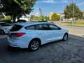 Ford Focus 1.5 EcoBlue 120 CV SW Business Bianco - thumbnail 5