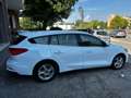 Ford Focus 1.5 EcoBlue 120 CV SW Business Bianco - thumbnail 6