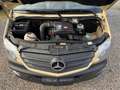 Mercedes-Benz Sprinter II 316CDI Kasten/Mixto 6-Sitz AHK Klima Beige - thumbnail 24