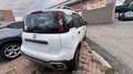 Fiat Panda 0.9 t.air t. Wild 4x4 s&s 85cv 5p.ti Bianco - thumbnail 5