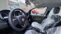 Fiat Panda 0.9 t.air t. Wild 4x4 s&s 85cv 5p.ti Bianco - thumbnail 7