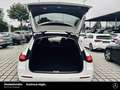 Mercedes-Benz E 220 E 220 T d Avantgarde AHK Distronic WDGlas-dunkel Weiß - thumbnail 11