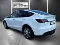 Tesla Model Y Long Range AWD 75kWh / monatlich ab € 229,99 Weiß - thumbnail 7