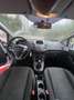 Ford Fiesta Ford Fiesta 1.0 EcoBoost Trend. 100cv 5cv - thumbnail 4