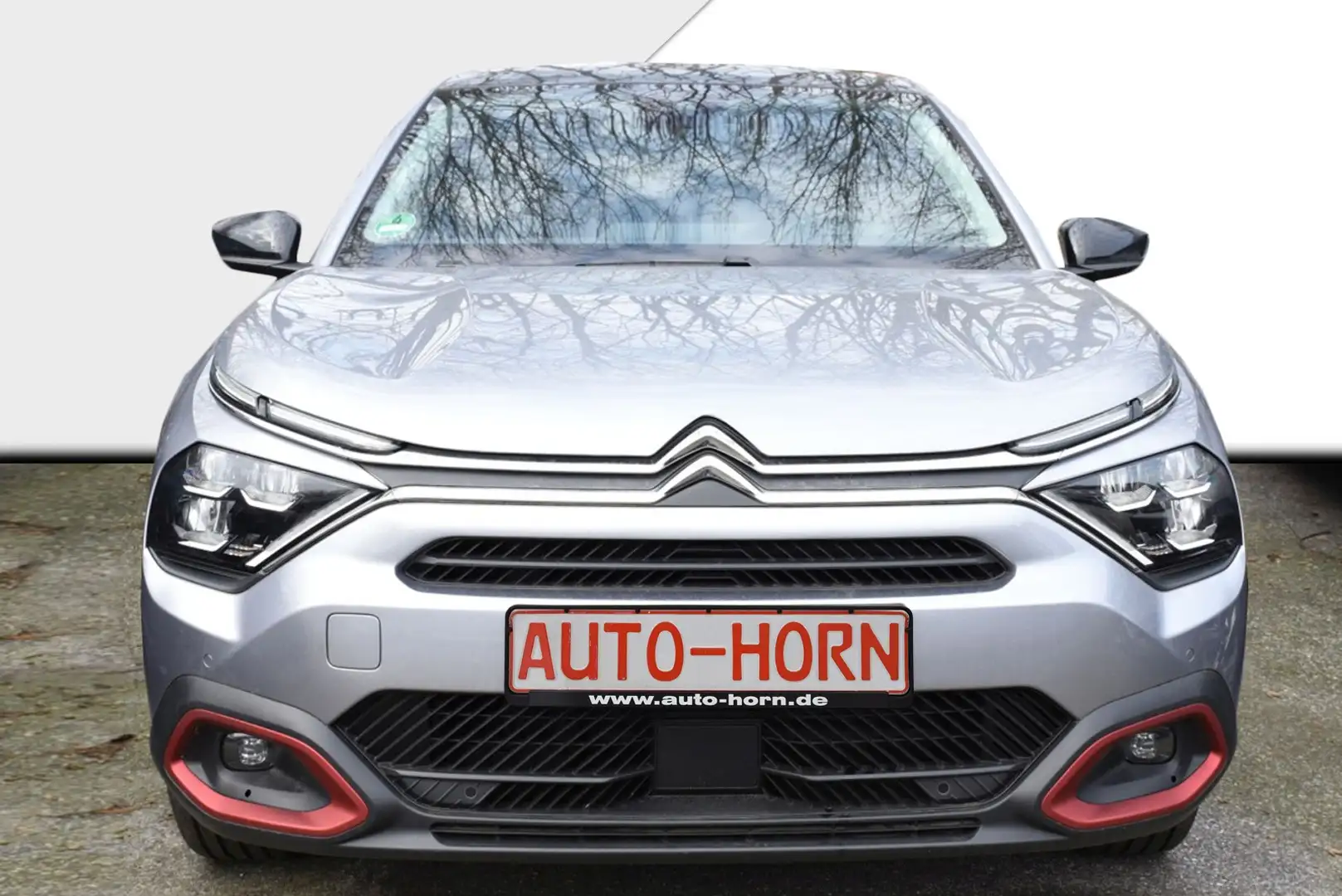 Citroen C4 e- X SHINE PACK Gris - 2