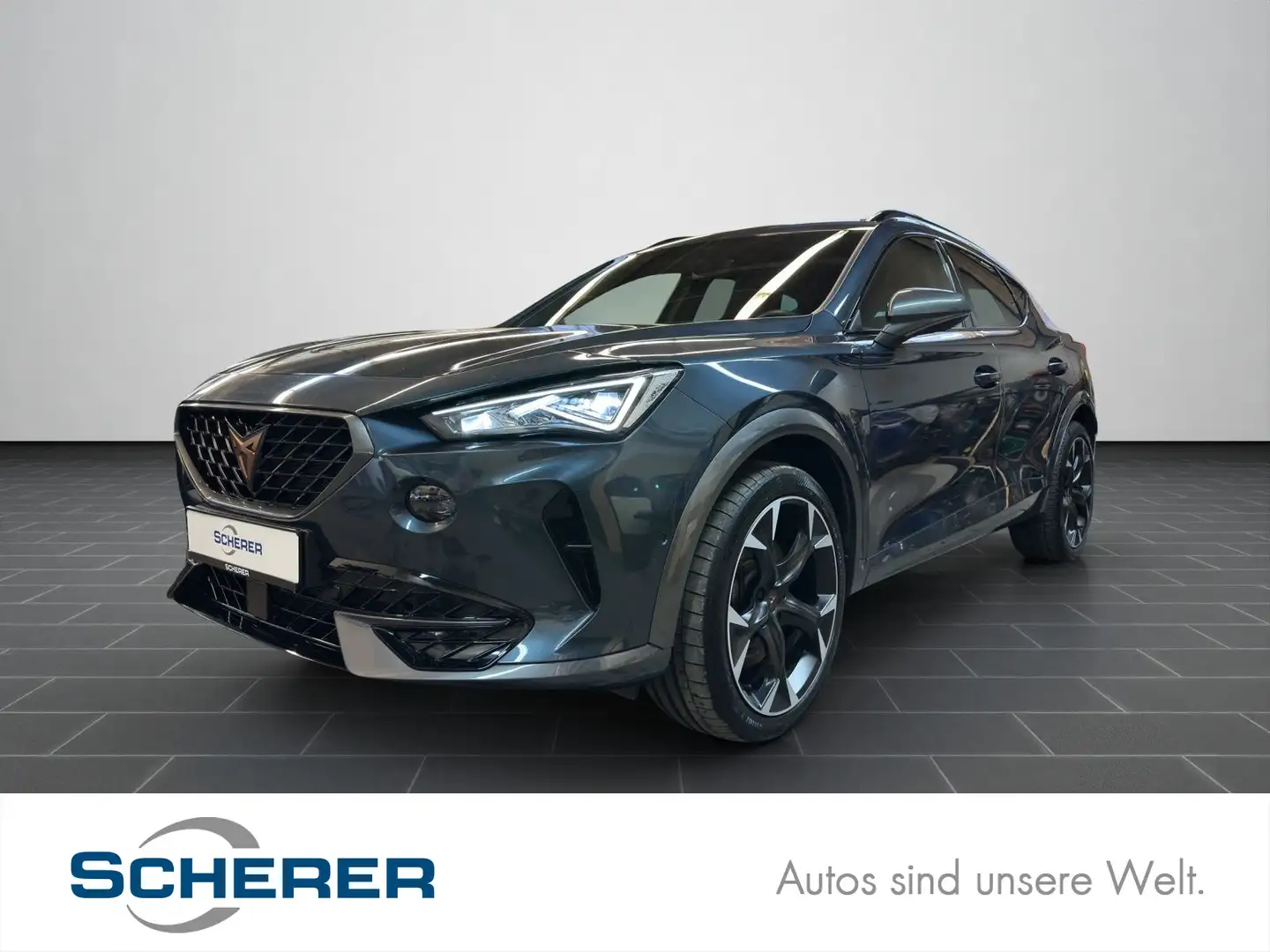 CUPRA Formentor 2.0 TSI AHK LED KAMERA KEYLESS NAVI Grau - 1