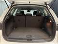 SEAT Arona -29% 1.0 TSI 110cv +GPS+RADAR+FULL LED+Options Beige - thumbnail 5