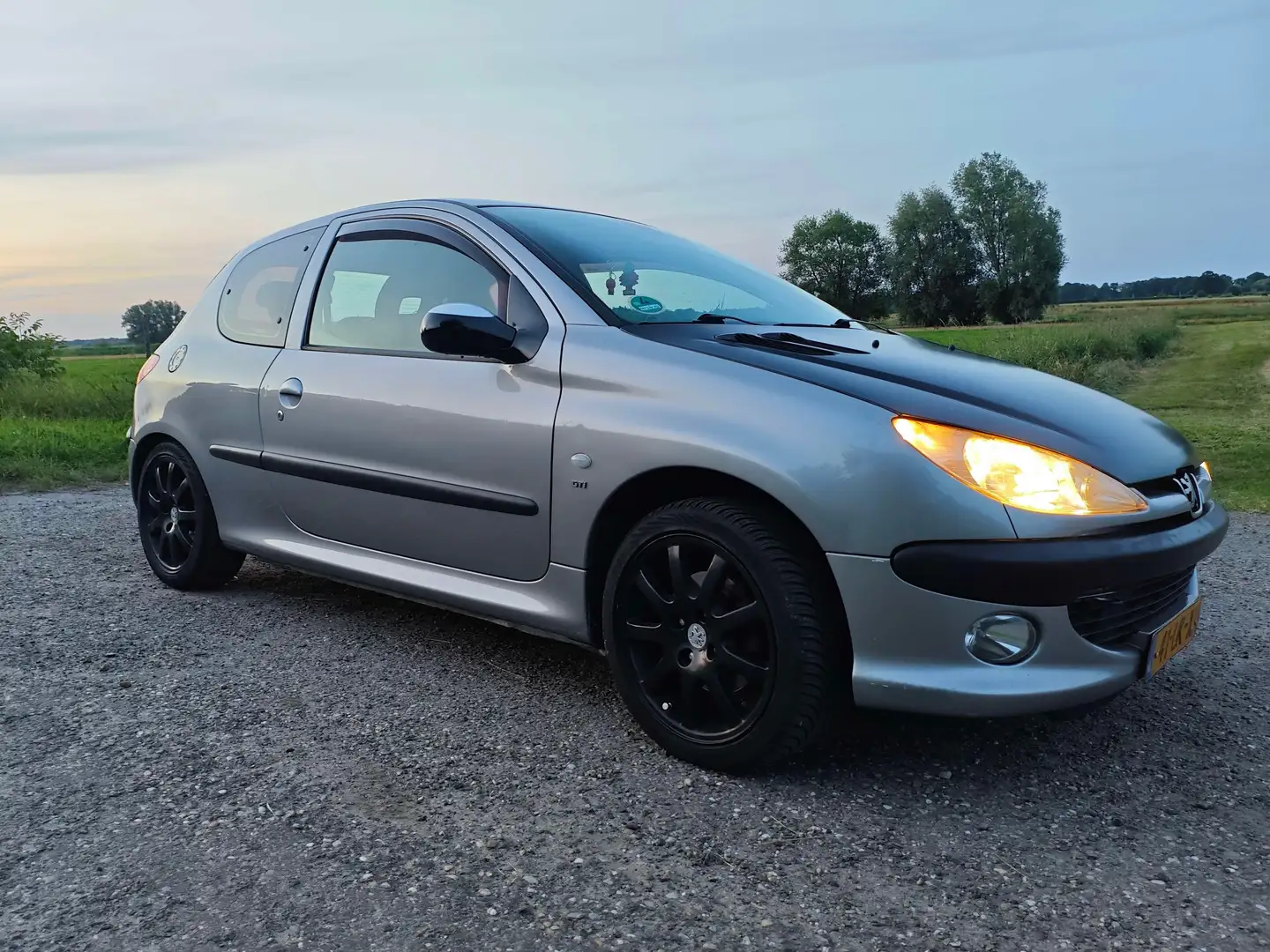 Peugeot 206 206 2.0-16V GTI Grijs - 2