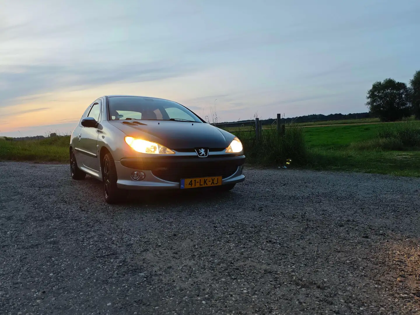 Peugeot 206 206 2.0-16V GTI Grijs - 1