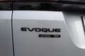 Land Rover Range Rover Evoque 2.0D 150CV AWD AUTOCARRO N1 + IVA Argento - thumbnail 28