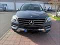 Mercedes-Benz ML 350 CDI BlueTec 4matic AHK 3,5T AUT, KLI, LE Gris - thumbnail 4