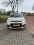 Fiat Panda 1.2 Edizione Cool Bruin - thumbnail 1