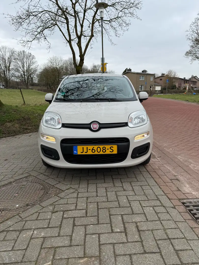 Fiat Panda 1.2 Edizione Cool Bruin - 1