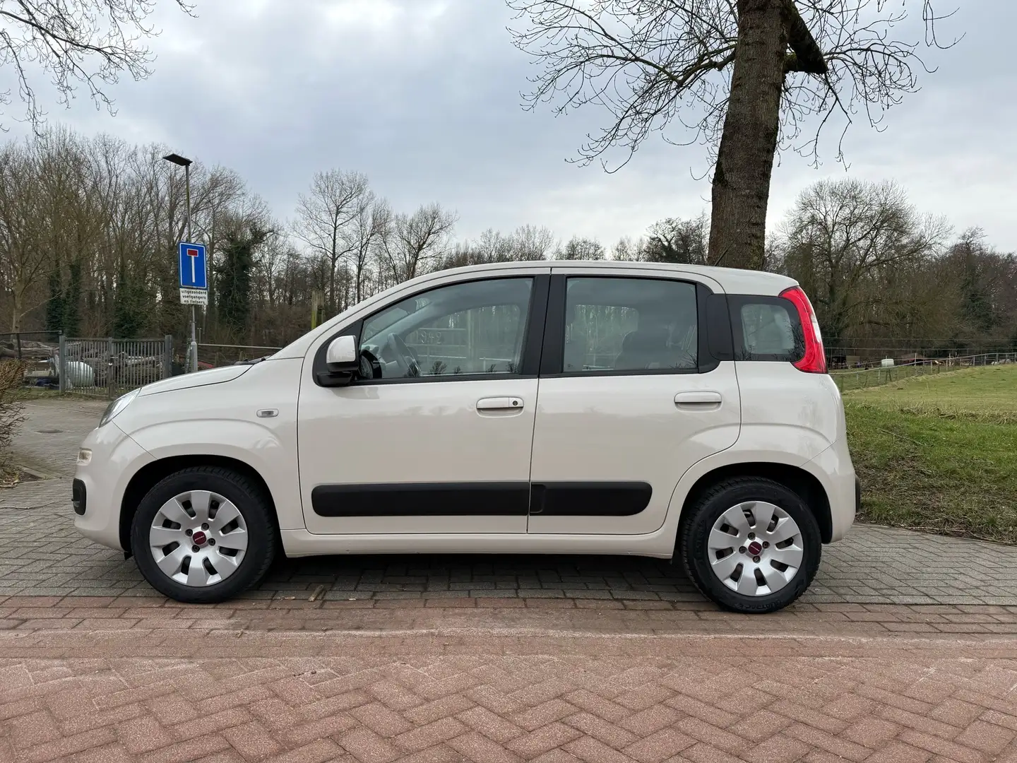 Fiat Panda 1.2 Edizione Cool Bruin - 2