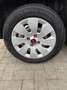 Fiat Panda 1.2 Edizione Cool Bruin - thumbnail 11