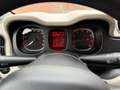Fiat Panda 1.2 Edizione Cool Bruin - thumbnail 6