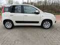 Fiat Panda 1.2 Edizione Cool Bruin - thumbnail 4
